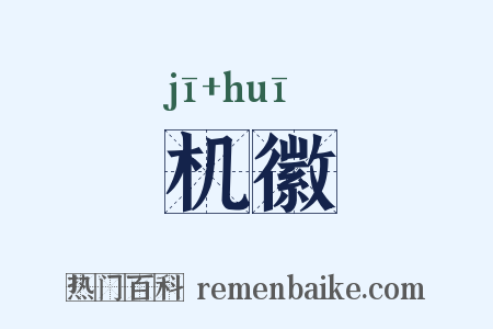 机徽是什么意思的图片